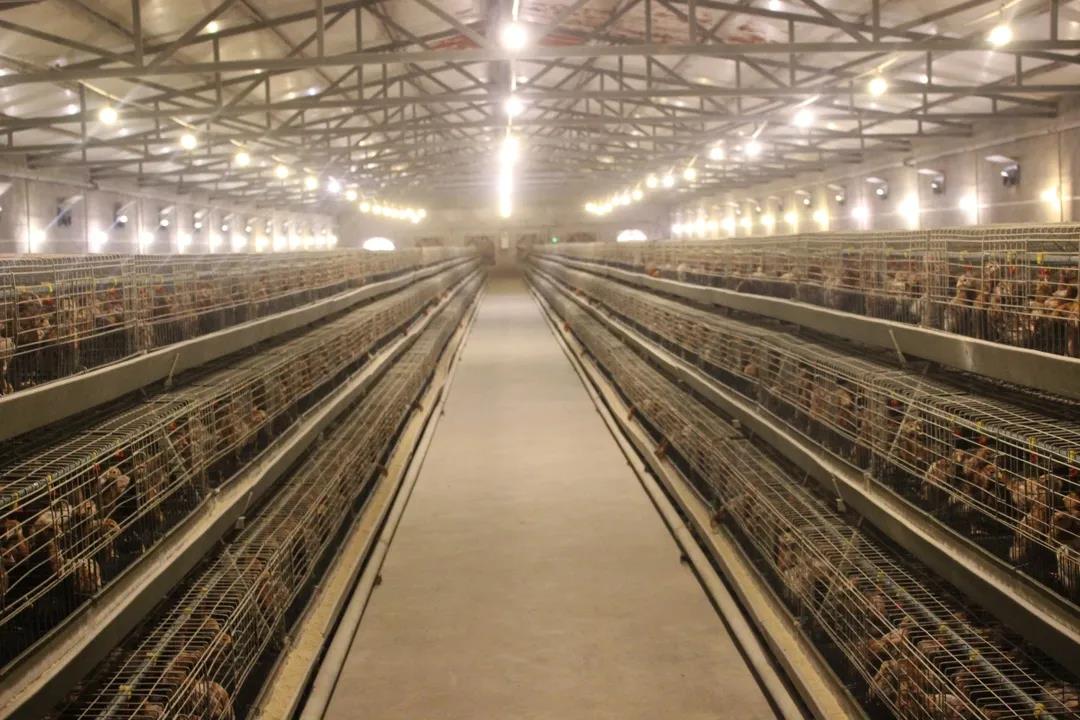 1609132818667583.jpg 2.jpg