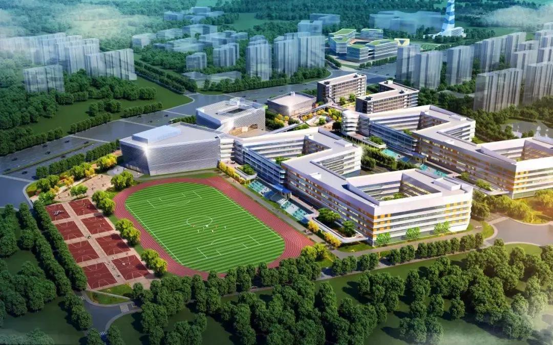 1612234132829760.jpg 2.jpg